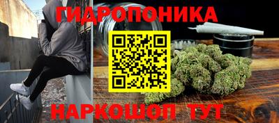 прущие крисы Заводоуковск