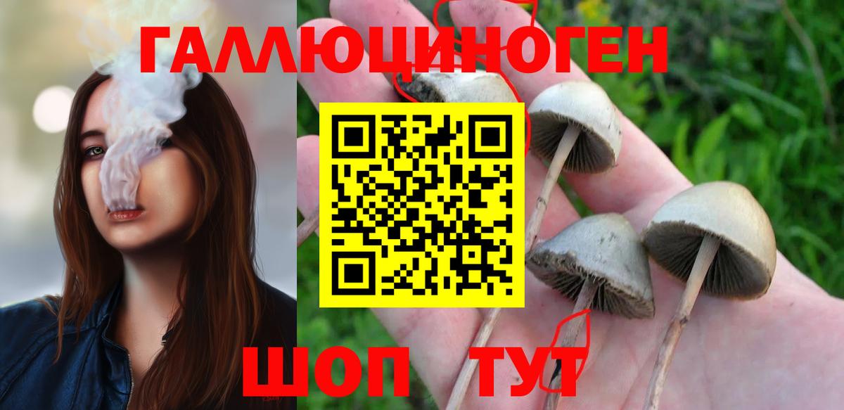 Псилоцибиновые грибы мухоморы Зерноград