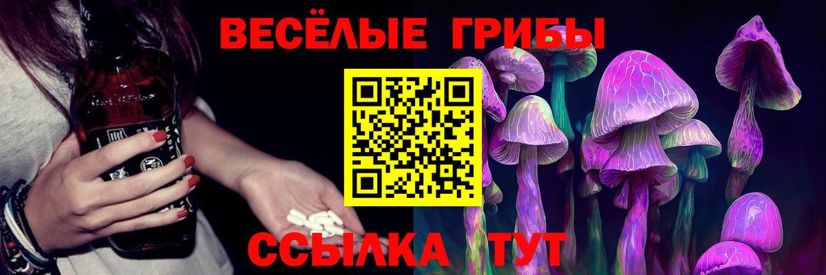 Псилоцибиновые грибы Cubensis  купить   Зерноград  Вход с VPN 