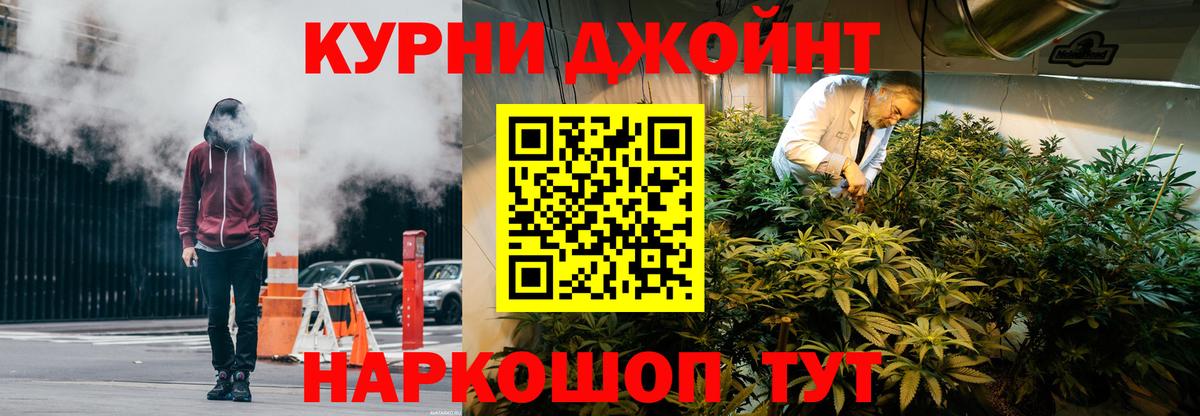 Бошки Шишки планчик Зерноград